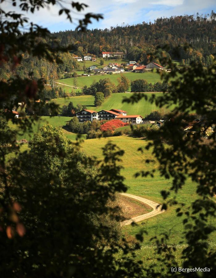 Appartement Hauzenberg-Panorama Buitenkant foto